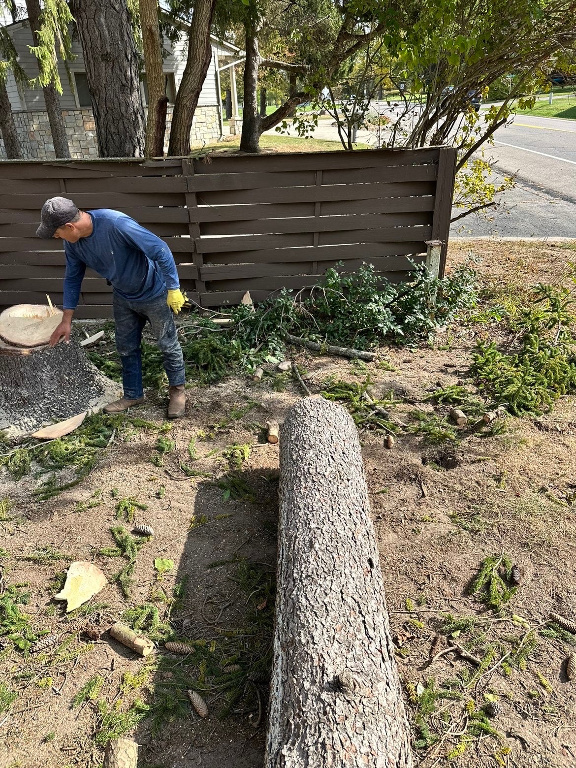 Tree Removal project detail 2